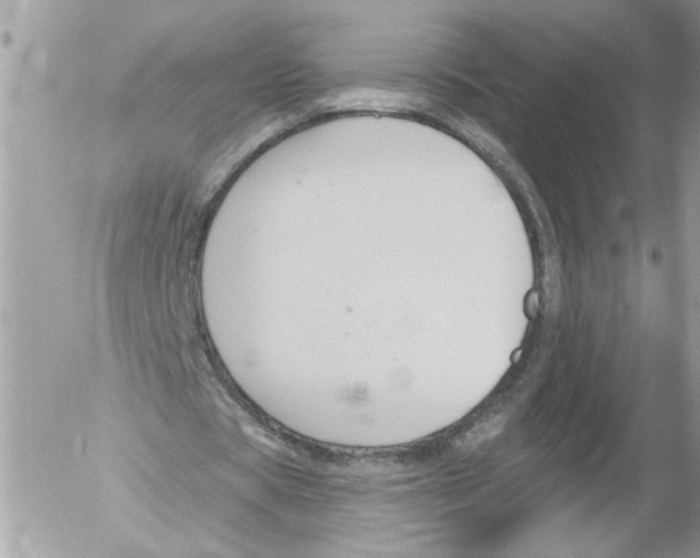 X0000052540529200507291853