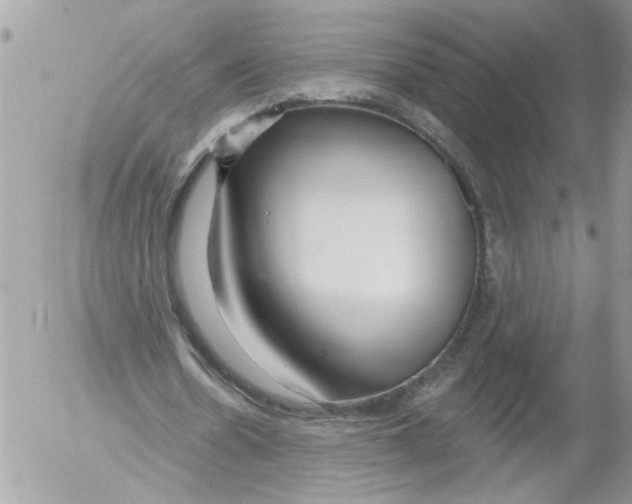 X0000052540530200507291853