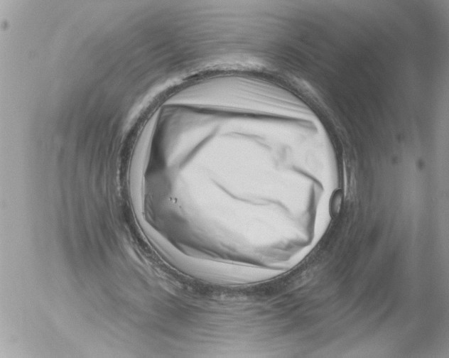 X0000052540531200507291853