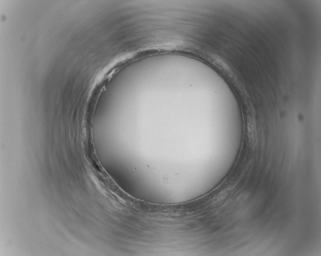 X0000052540532200507291853