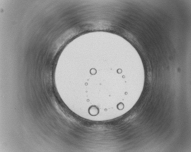 X0000052540534200507291853