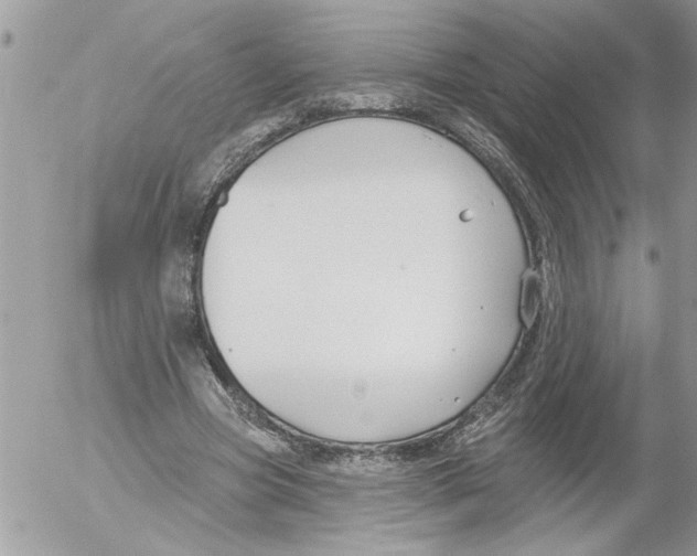 X0000052540537200507291853