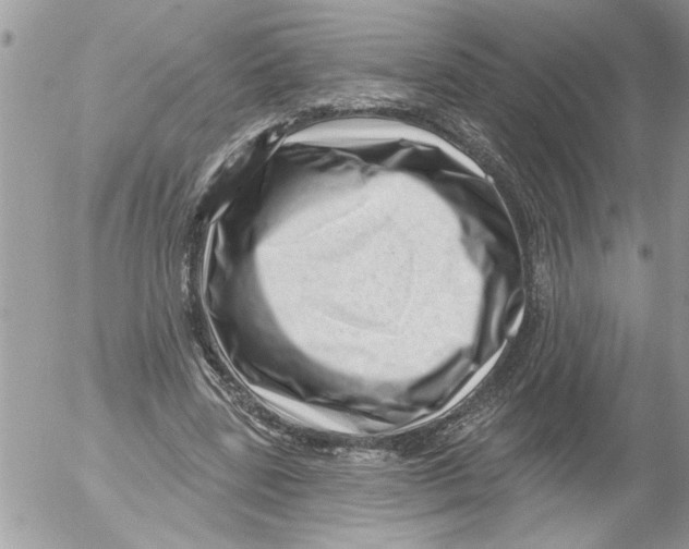 X0000052540539200507291853