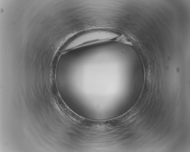 X0000052540540200507291853