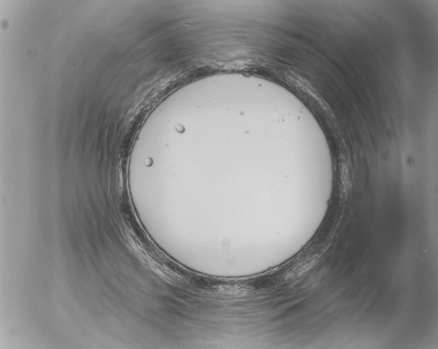 X0000052540541200507291853