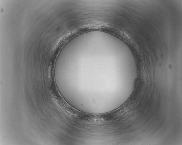 X0000052540543200507291853