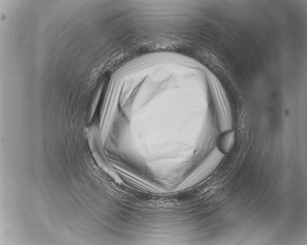 X0000052540545200507291853