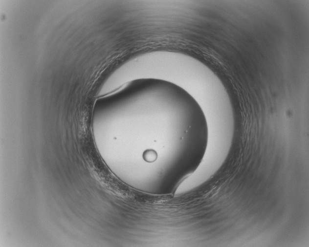 X0000052540546200507291853