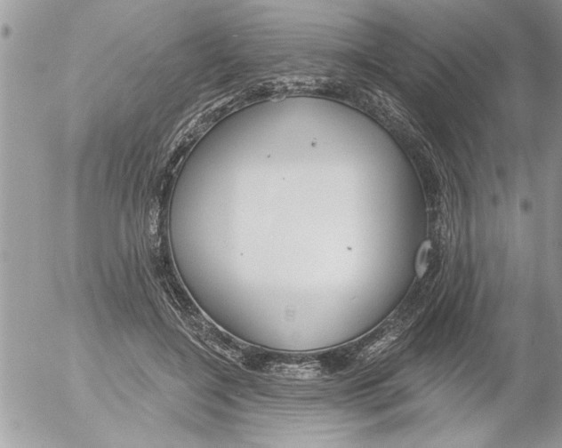 X0000052540548200507291853