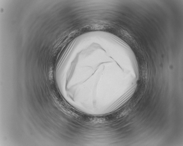 X0000052540549200507291853