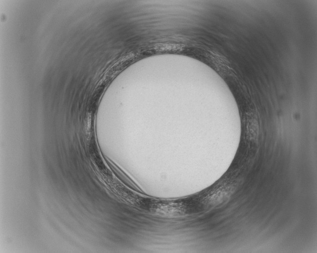 X0000052540550200507291853