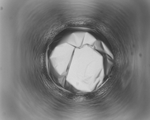 X0000052540551200507291853