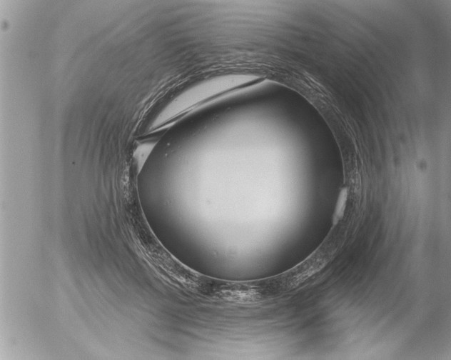 X0000052540552200507291853