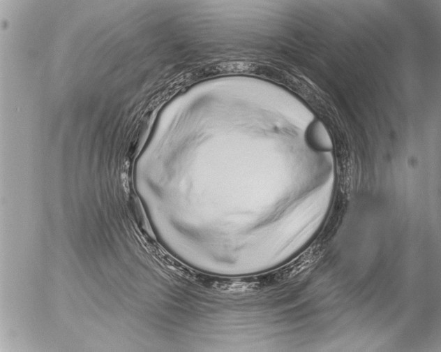 X0000052540553200507291853