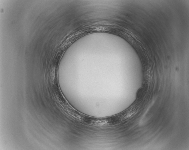 X0000052540554200507291853