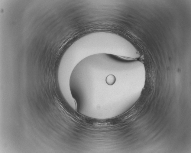 X0000052540556200507291853