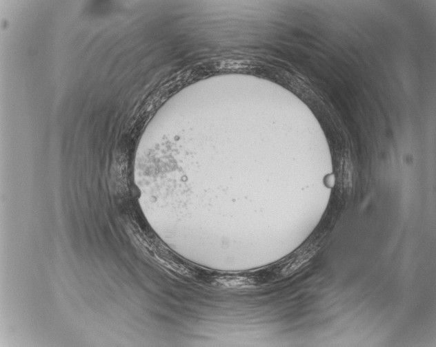 X0000052540557200507291853