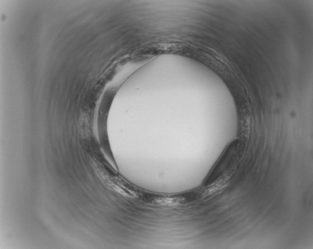 X0000052540558200507291853