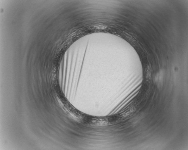 X0000052540559200507291853