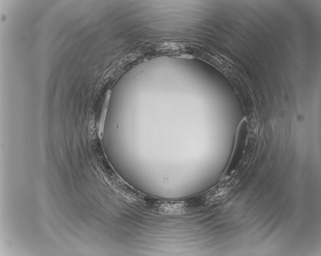 X0000052540560200507291853