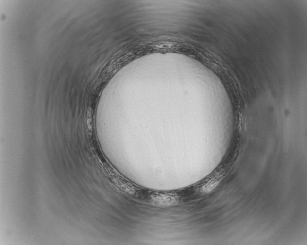 X0000052540561200507291853