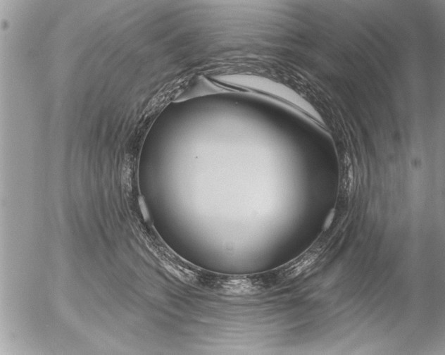 X0000052540562200507291853