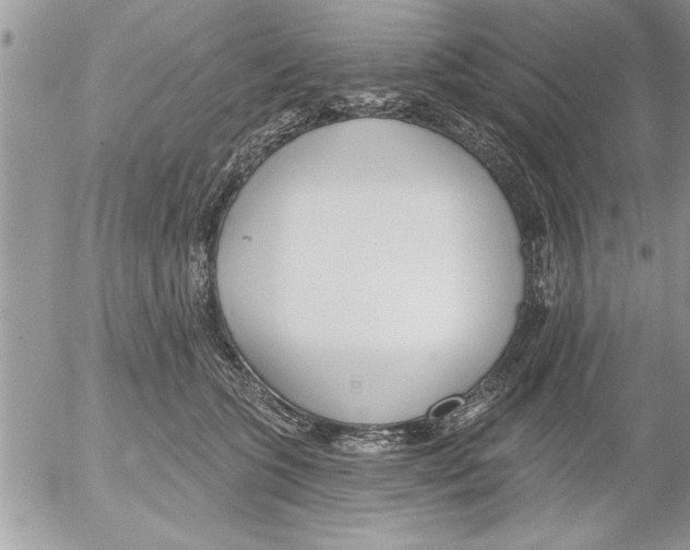 X0000052540563200507291853