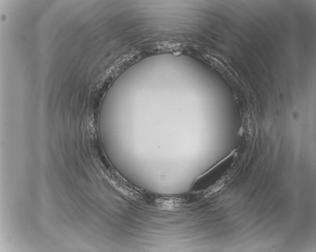 X0000052540564200507291853