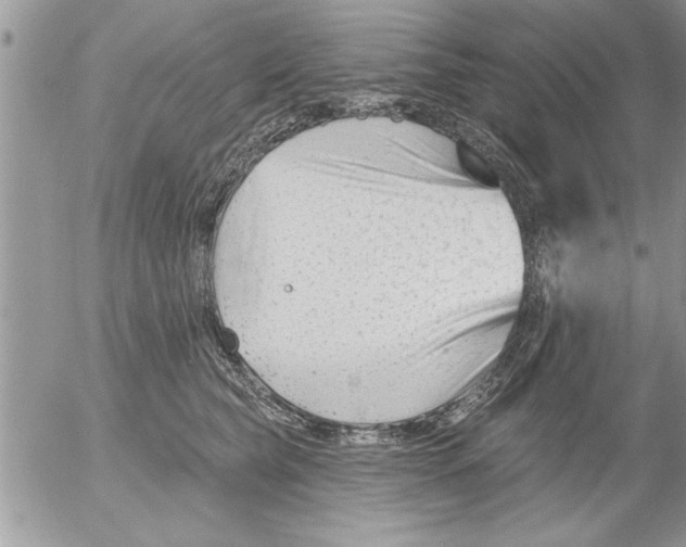 X0000052540565200507291853