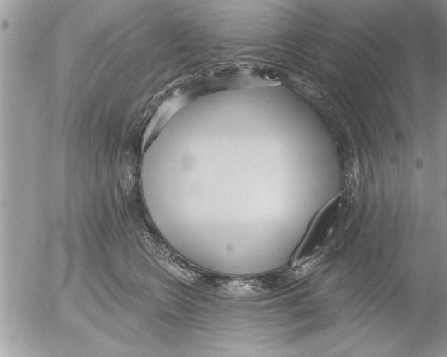 X0000052540566200507291853