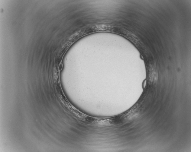 X0000052540569200507291853