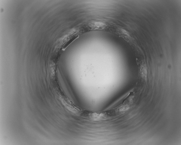 X0000052540570200507291853