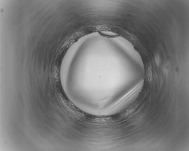 X0000052540571200507291853