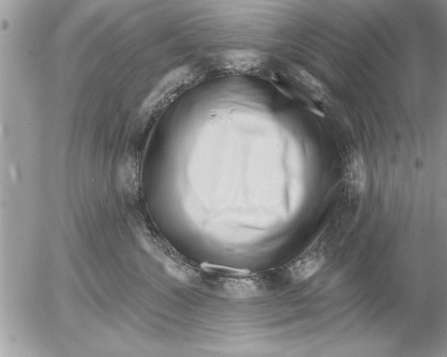 X0000052540572200507291853