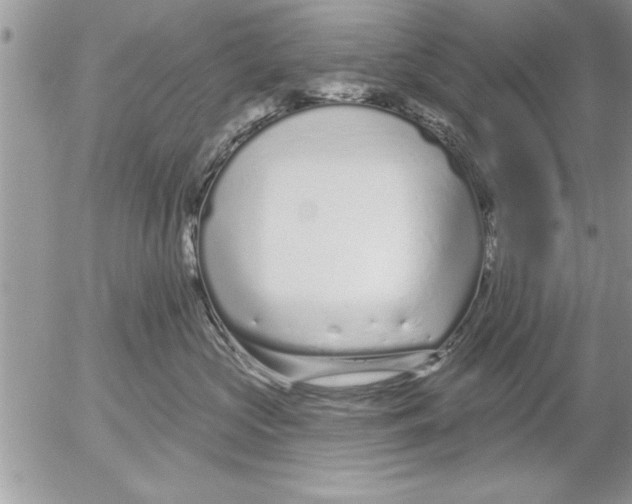 X0000052540573200507291853