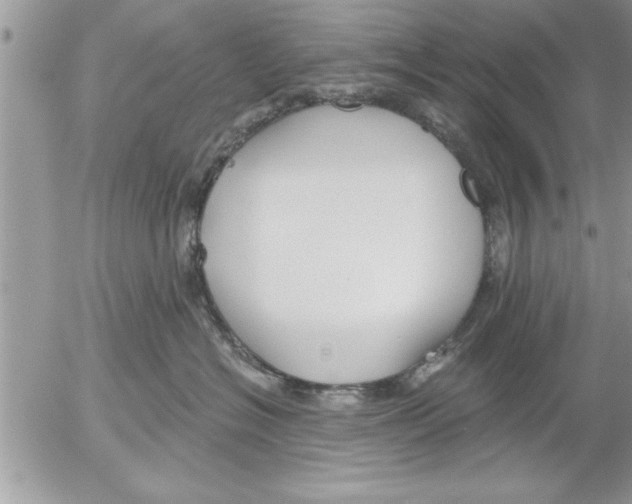 X0000052540574200507291853