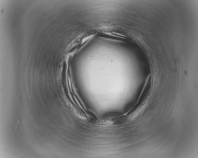 X0000052540576200507291853