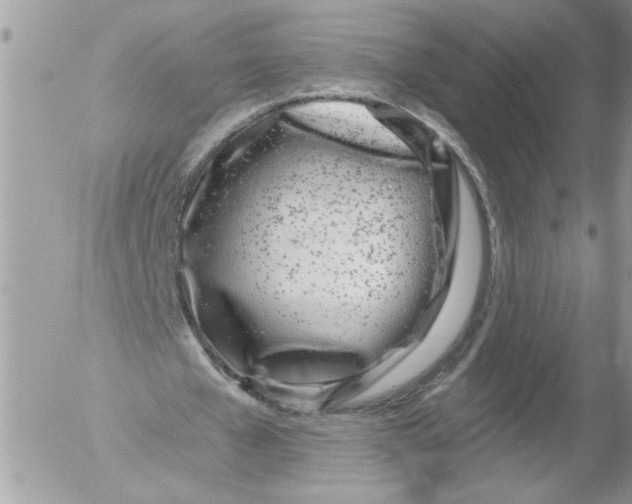 X0000052540577200507291853