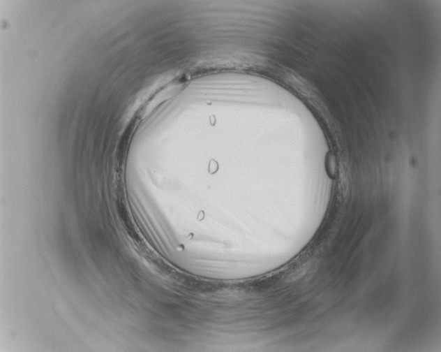 X0000052540578200507291853