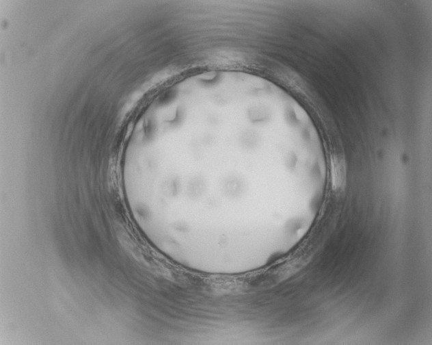 X0000052540579200507291852