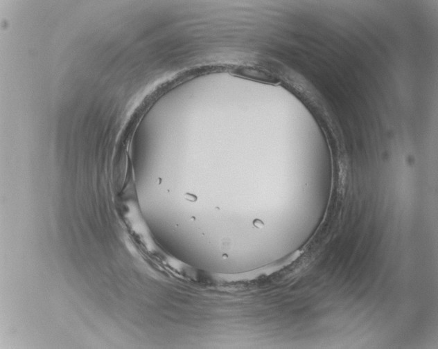 X0000052540580200507291852