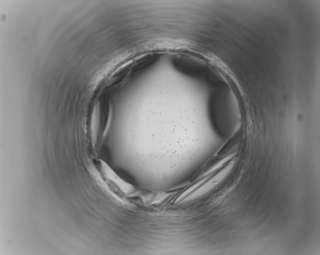 X0000052540581200507291852