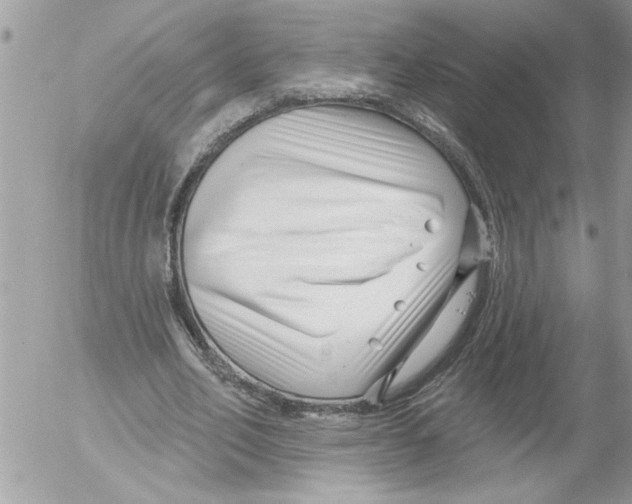 X0000052540582200507291852