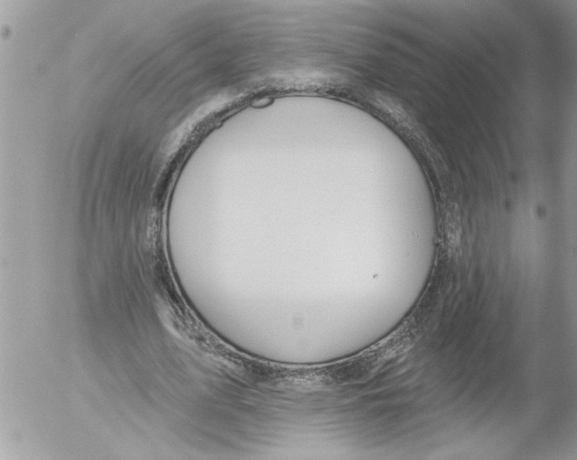 X0000052540583200507291852