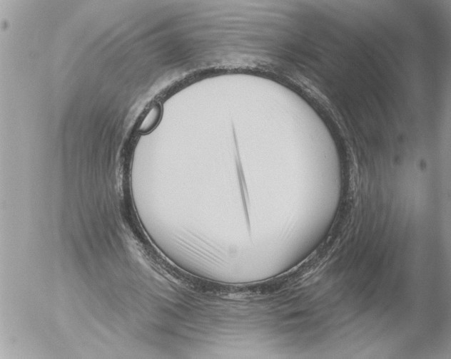 X0000052540584200507291852