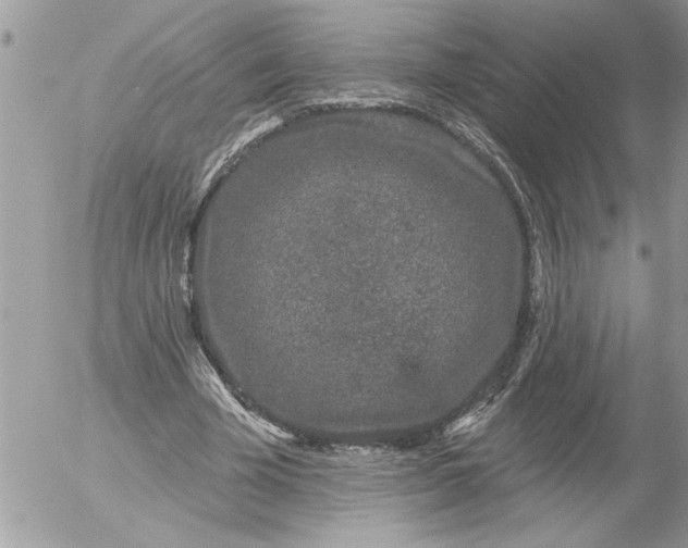 X0000052540585200507291852