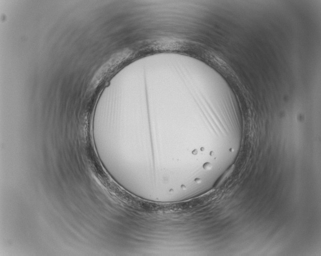 X0000052540586200507291852