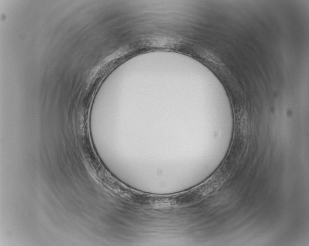 X0000052540587200507291852