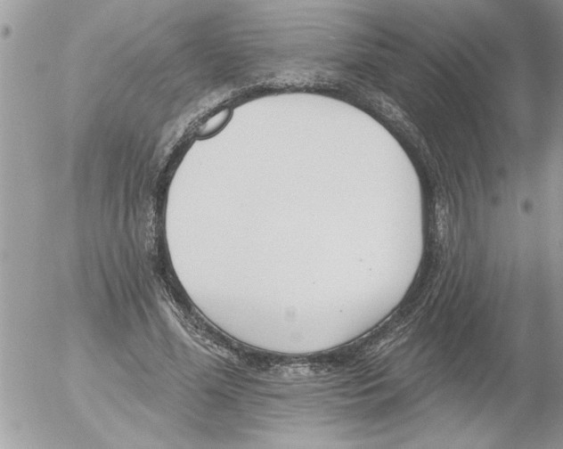 X0000052540588200507291852