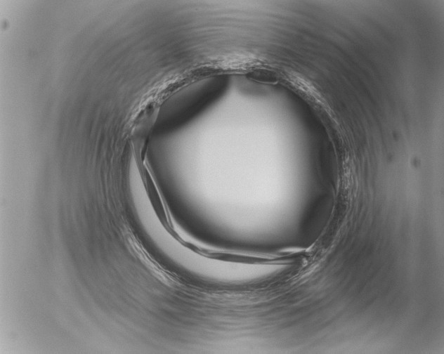 X0000052540589200507291852